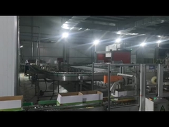 Macchine per sigillare cartoni, macchine per palettizzare robot