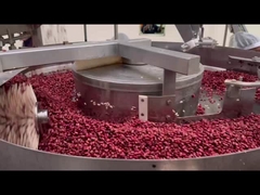 Cliente dell'Etiopia, 24-6 Macchine per riempire e cucire la scatola di salsa spessa, 300-400 scatole/min