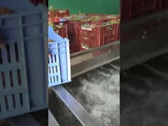 Lavatrice di frutta e verdura a bolla, la capacità di produzione può essere personalizzata