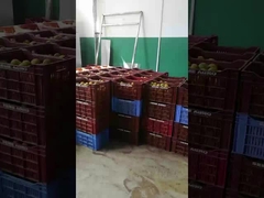 Linea di produzione di succhi di frutta e verdura