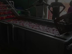 Linea di produzione di pasta di pomodori condensata