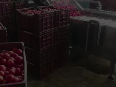 Linea di produzione per la trasformazione di succo di frutta condensato/pasta di pomodoro